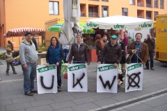 Wahlkampf 2011