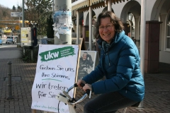 Wahlkampf 2011